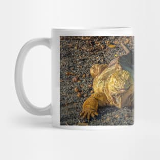 Galapagos Land Iguana, Galapagos Islands Mug